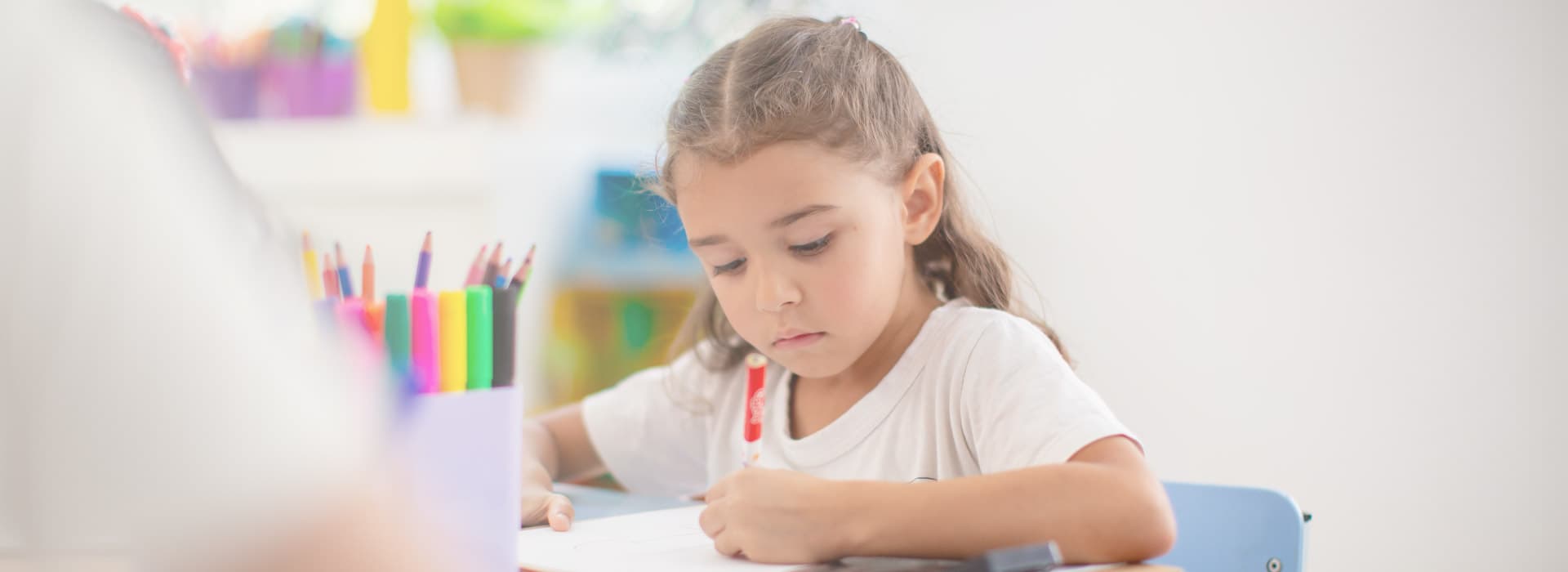 Construindo Conhecimento